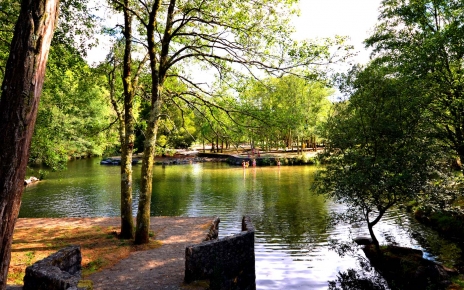River swims near Covelo